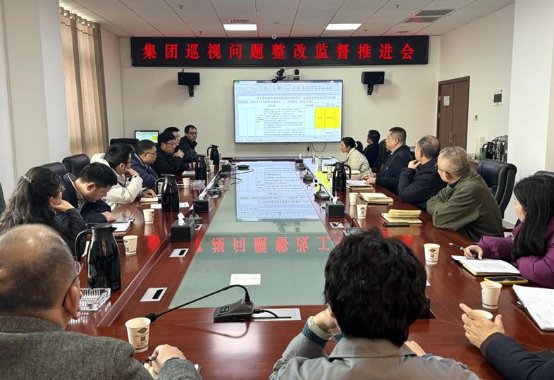 公司纪委召开集团巡视问题整改监督推进会