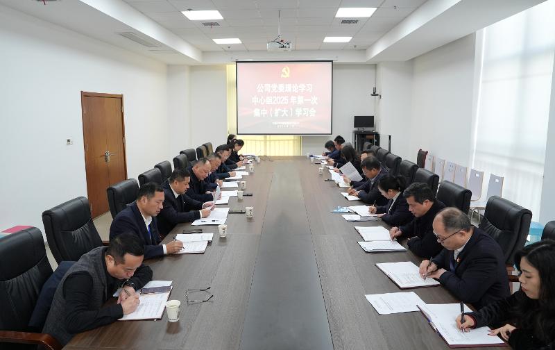 公司党委举行理论学习中心组2025年第一次集中（扩大）学习