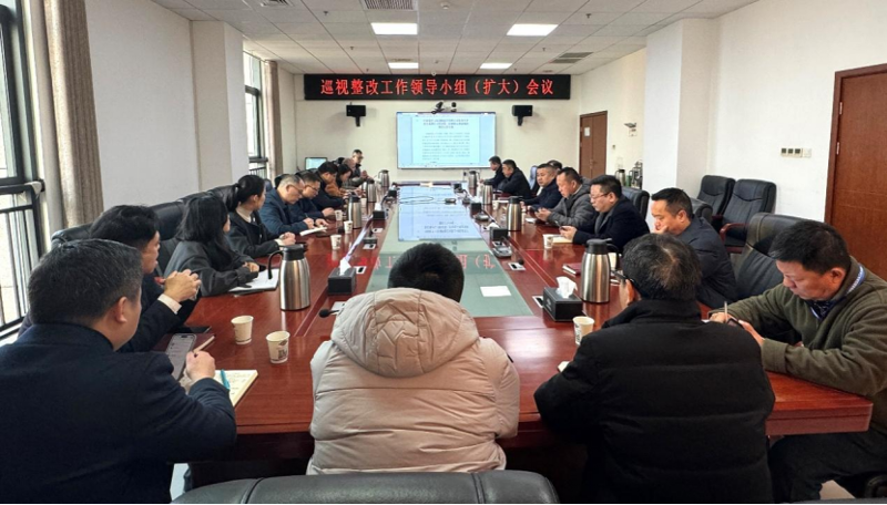 公司召开巡视整改工作领导小组（扩大）会议