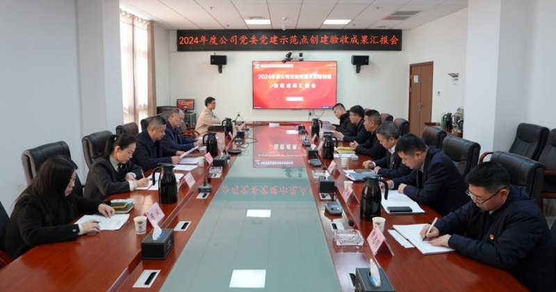 聚焦“135”  推动党的建设一体提升 | 中国化学四化建党建动态③