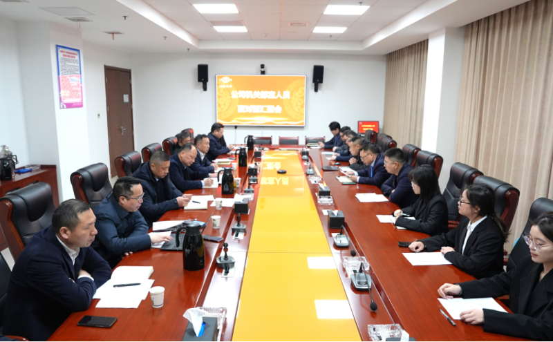 梳理问题精准把脉  深化管控助力发展 | 公司举行2025年机关管理人员面对面汇报会
