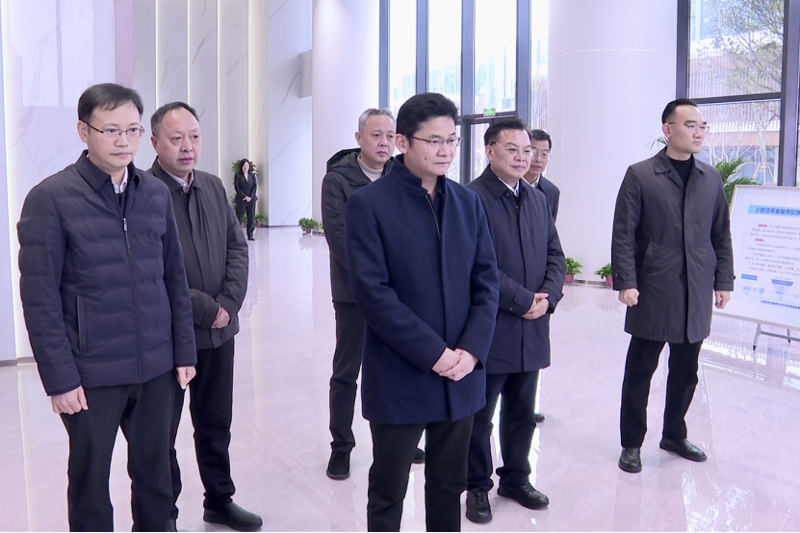 曹志强到港晨公司综合体项目考察调研