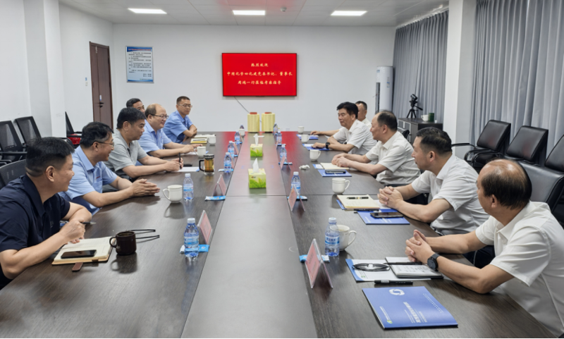 周鸿与中国平煤神马集团董事张电子举行工作会谈