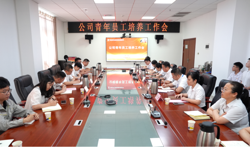中国化学四化建召开青年员工培养工作会