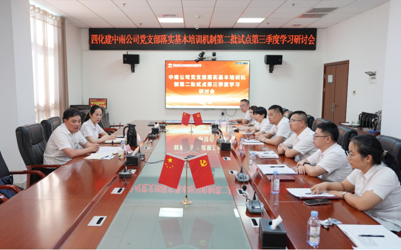 中国化学四化建基层党组织落实基本培训机制第二批试点第三季度学习研讨①