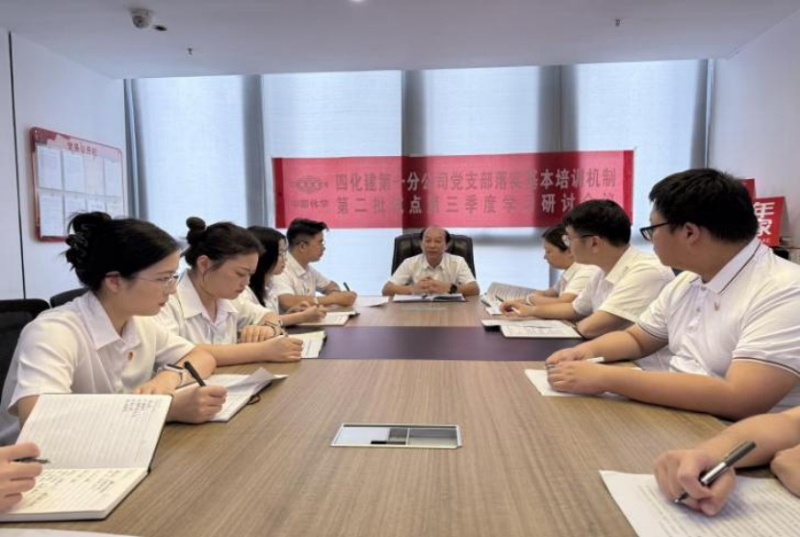 中国化学四化建基层党组织落实基本培训机制第二批试点第三季度学习研讨②