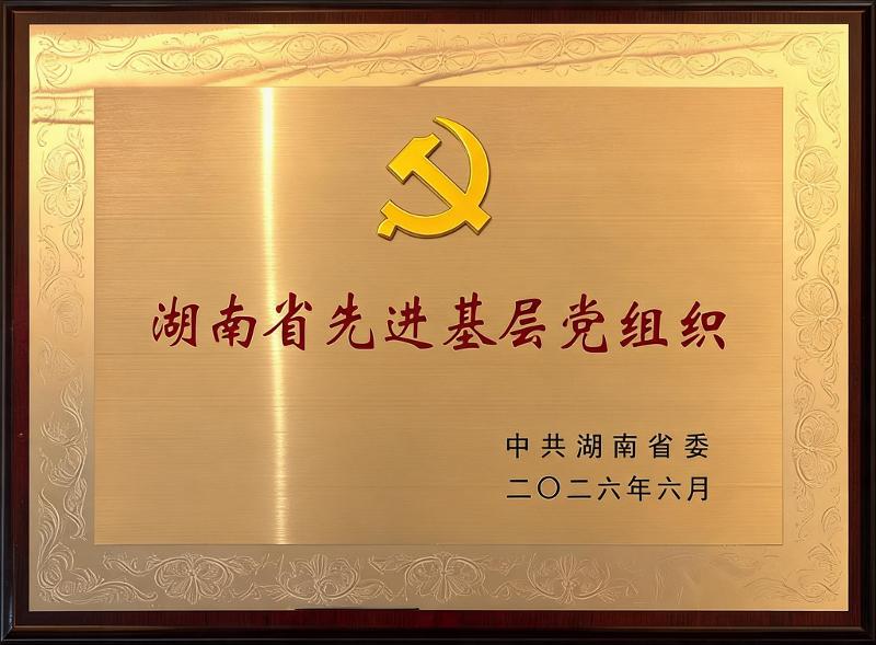 重磅荣誉！四化建党委荣获“湖南省先进基层党组织”称号